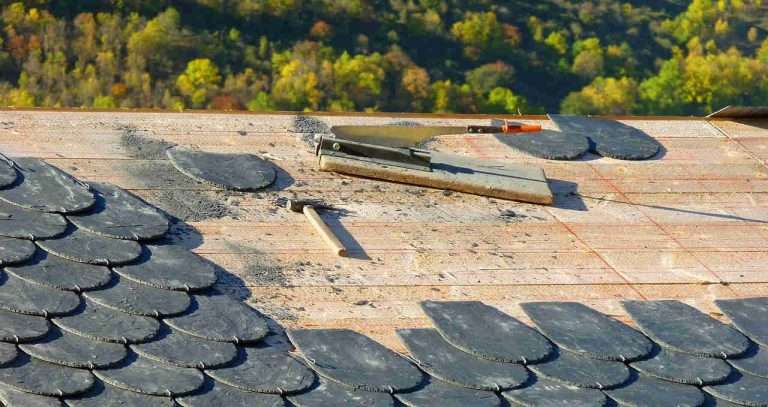 Roof Repair vs Replacement: Which One Do You Need?