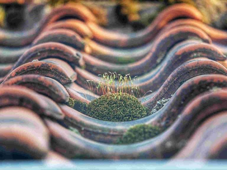 how to spot roof damage